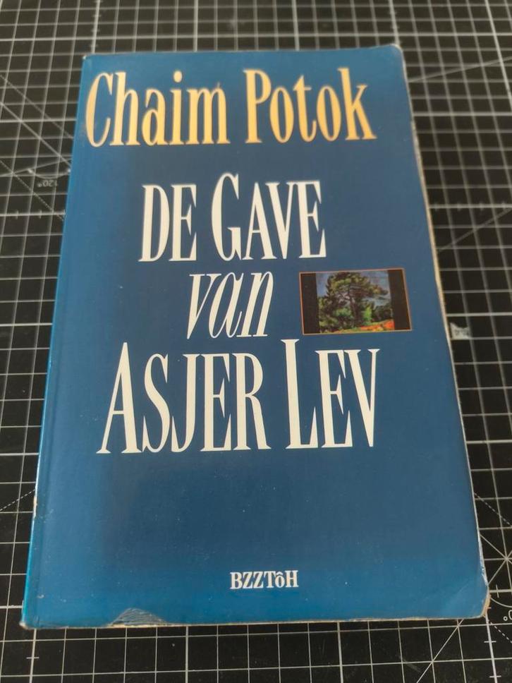 De Gave van Asjer Lev - Chaim Potok, Boeken, Romans, Gelezen, Nederland, Ophalen of Verzenden