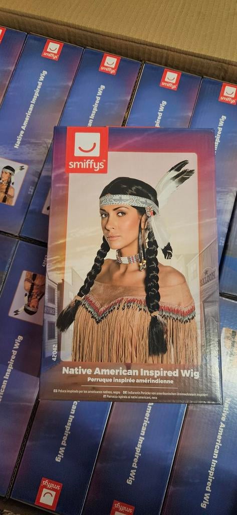 Partij Indianen Pruik - carnaval kleding, Ophalen of Verzenden, Nieuw, Carnaval