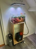 Ada p45 aquarium, Dieren en Toebehoren, Vissen | Aquaria en Toebehoren, Ophalen of Verzenden, Zo goed als nieuw, Leeg aquarium
