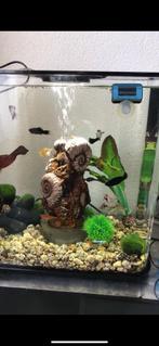Biorb aquarium, Dieren en Toebehoren, Vissen | Aquaria en Toebehoren, Ophalen, Gebruikt, Leeg aquarium