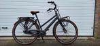Cortina Urban Transportfiets mt 56, Fietsen en Brommers, 53 tot 56 cm, Ophalen, Gebruikt, Overige merken