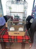 Vogel kooi, Ophalen, Gebruikt, Metaal, Vogelkooi