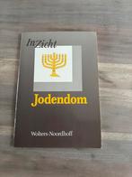 Jodendom.Inzicht.Piet Post., Ophalen of Verzenden, Gelezen