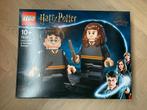 Lego Harry Potter 76393 - Harry Potter & Hermelien Griffel *, Nieuw, Complete set, Ophalen of Verzenden, Lego