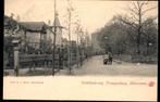 Hilversum (N.H.), Godelindeweg Trompenberg Boonkaart, 1901, Verzenden, Voor 1920, Ongelopen, Noord-Holland