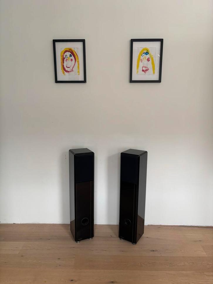 Synthese High-End Luidsprekers - Muziekliefhebber, Audio, Tv en Foto, Luidsprekers, Gebruikt, Front, Rear of Stereo speakers, 120 watt of meer