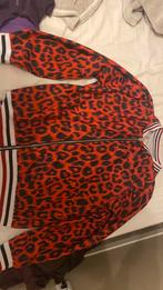 Print rood jasje (maat m), Kleding | Dames, Maat 38/40 (M), Ophalen of Verzenden, Zo goed als nieuw, Jasje