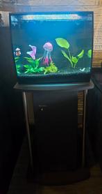 Z.G A.N Fluval flex 57l incl. Alle toebehoren, Ophalen, Zo goed als nieuw, Gevuld zoetwateraquarium