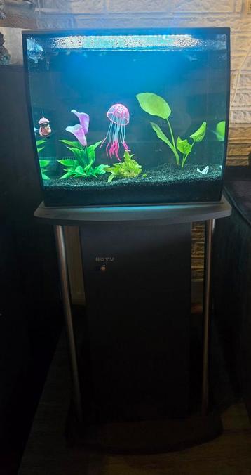 Z.G A.N Fluval flex 57l incl. Alle toebehoren beschikbaar voor biedingen