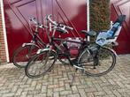 Gazelle Fuente fiets - Goed onderhouden!, Ophalen, Versnellingen, Gazelle, 53 tot 56 cm