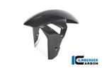 Voorspatbord carbon BMW S1000RR 2019+