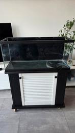Aquarium 80 cm inclusief kast op wieltjes, Ophalen of Verzenden, Gebruikt, Leeg aquarium