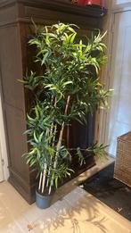 Kunst plant Palm nep plant, Huis en Inrichting, Woonaccessoires | Kunstplanten en Kunstbloemen, Ophalen of Verzenden