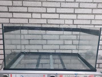 Aquarium met diverse toebehoren beschikbaar voor biedingen