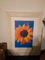 MOET ZSM WEG - Grote fotolijst wit hout, Ophalen of Verzenden