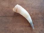 Koeien hoorn, Ophalen of Verzenden, Zo goed als nieuw, Gewei of Kop