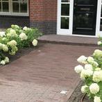 Waaltjes - Dikformaat - Nieuw gebakken bestrating SALE zomer, Tuin en Terras, Overige materialen, Klinkers, Nieuw, Ophalen of Verzenden