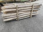 Robinia spintvrij geschuurd 250ø12/14 cm, Tuin en Terras, Palen, Balken en Planken, Ophalen, Palen, Nieuw, Hardhout