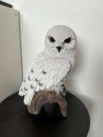Beeldje uil Hedwig, Ophalen of Verzenden, Zo goed als nieuw, Beeldje of Buste