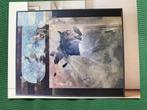 Eugene Jongerius, de vogeltafel en/of 2 studies, ook los, Ophalen of Verzenden