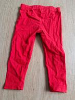 Rode effen legging maat 80 h4, Kinderen en Baby's, Babykleding | Maat 80, Broekje, Meisje, Onbekend, Ophalen of Verzenden