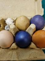 paaseieren echte leeg, Ophalen of Verzenden, 'T Olde Gre-j, Info@toldegrej.nl, Endepoelstraat 20f Didam