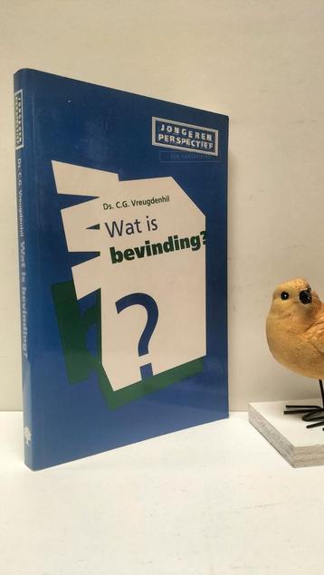 Vreugdenhil, Ds. C.G.; Wat is bevinding? (Jongerenperspectie beschikbaar voor biedingen