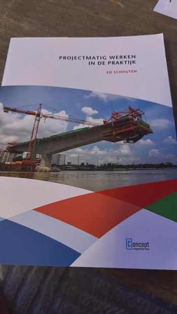 Ed Schouten - Projectmatig werken in de praktijk beschikbaar voor biedingen
