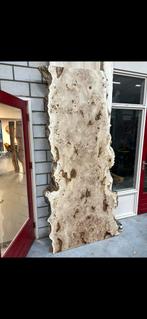 Grote partij boomstambladen xxl mappa 40stuks, Doe-het-zelf en Verbouw, Hout en Planken, Ophalen, Nieuw, 50 mm of meer, Balk