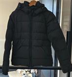 Airforce dames winterjas, Ophalen of Verzenden, Zo goed als nieuw, Maat 34 (XS) of kleiner, Zwart