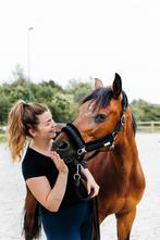Lieve, betrouwbare D pony, Dieren en Toebehoren, Merrie, D pony (1.37m tot 1.48m), Ontwormd