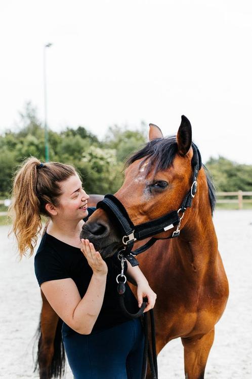 Lieve, betrouwbare D pony, Dieren en Toebehoren, Pony's, Merrie, D pony (1.37m tot 1.48m), Ontwormd