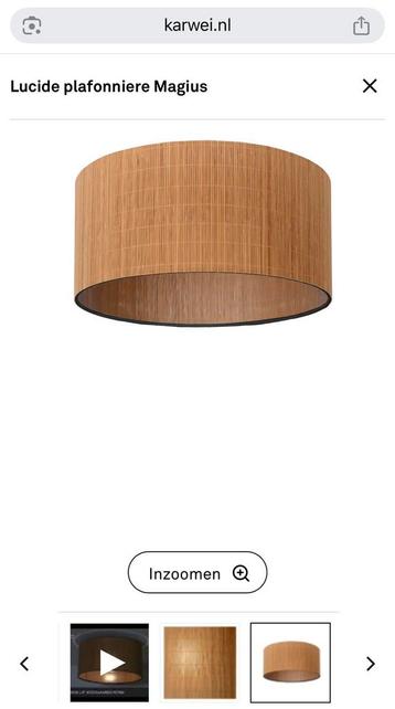 Rotan plafondlamp beschikbaar voor biedingen