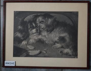 OUDE ETS MET CAVALIERS SPANIELS ! * Antiek * beschikbaar voor biedingen