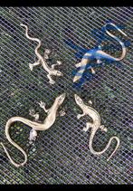 3 Stuks geel koperen salamander, hagedis, gekko van messing., Antiek en Kunst, Ophalen of Verzenden