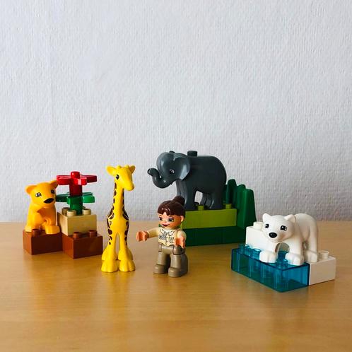 LEGO Duplo Baby dierentuin 4962, Kinderen en Baby's, Speelgoed | Duplo en Lego, Zo goed als nieuw, Duplo, Complete set, Ophalen of Verzenden
