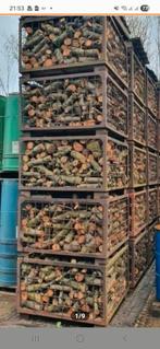 Openhaardhout haardhout kachelhout appel vers gezaagd 2025, Minder dan 3 m³, Ophalen