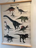 Te koop school platen, Antiek en Kunst, Ophalen of Verzenden