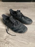 Adidas Predator gymschoenen / voetbalschoenen maat 39 1/3, Sport en Fitness, Voetbal, Maat XS of kleiner, Ophalen of Verzenden