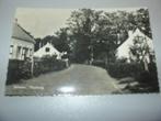 renesse - moolweg, Ophalen of Verzenden, 1940 tot 1960, Gelopen, Zeeland