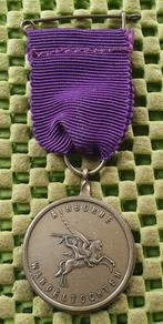 Medaille / Medal : Airborne wandeltochten Oosterbeek, Ophalen of Verzenden, Overige materialen, Nederland