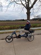 Driewielfiets  Van Raam Easy Rider, Fietsen en Brommers, Ophalen, Gebruikt, Overige merken