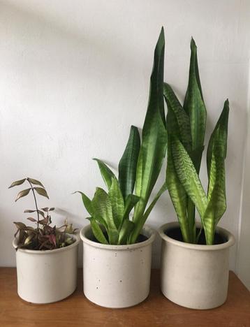 Oud Hollandse Vintage luxe keramische bloempotten jaren ‘50 beschikbaar voor biedingen
