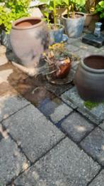 3 zware bloempotten  vastgezet op een steen, Ophalen, Gebruikt, Overige vormen, Aardewerk