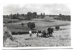 N6 Noorbeek   mooi Limburg, Ophalen of Verzenden, 1940 tot 1960, Gelopen, Limburg