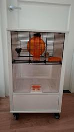 Hamsterkooi voor dwerghamster, Dieren en Toebehoren, Knaagdieren en Konijnen | Hokken en Kooien, Ophalen, Kooi, 60 tot 90 cm, Minder dan 75 cm