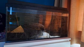 Juwel Aquarium 80L compleet met filter en heater beschikbaar voor biedingen