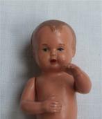 Schildpad popje, celluloid, Ophalen of Verzenden, Zo goed als nieuw, Pop