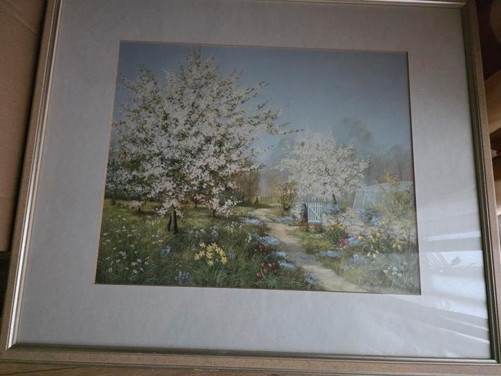 Schilderij met bloeiende boom in mooie lijst, Antiek en Kunst, Kunst | Schilderijen | Klassiek, Ophalen