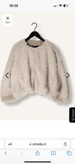 Drykorn bontjasje Kilchurn maat 36, Drykorn, Beige, Ophalen of Verzenden, Zo goed als nieuw